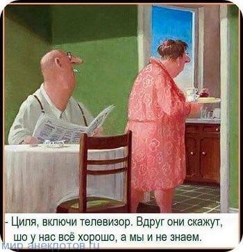 анекдот про цилю