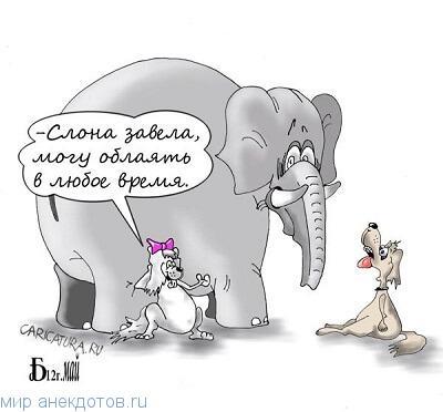 смешной анекдот про слона
