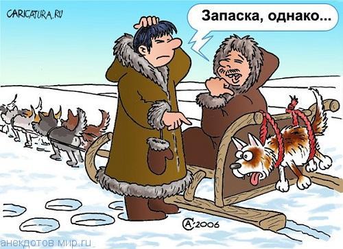 Подробнее о статье Прикольные карикатуры