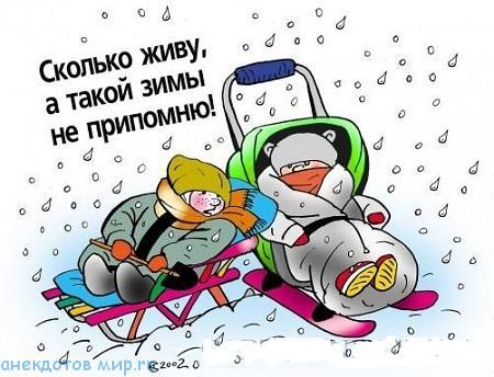 Смешная Зима Фото Смешная Зима Фото