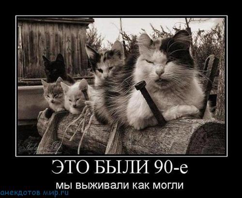 Демотиваторы про котов