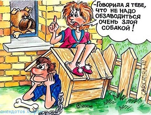 карикатура прикол