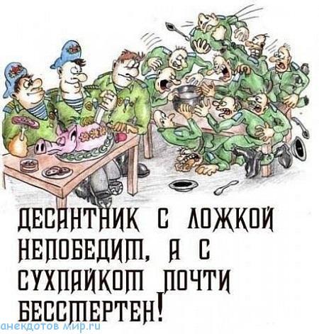 карикатура про вдв