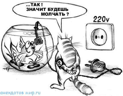 карикатура про кота