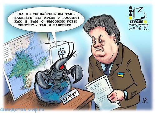 политическая карикатура