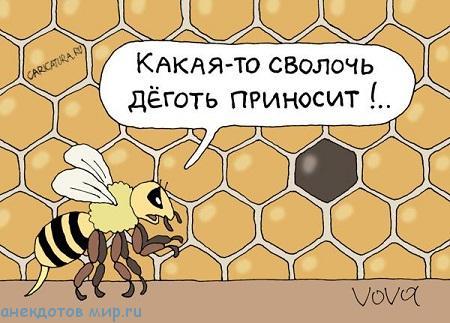 свежий анекдот про ложку