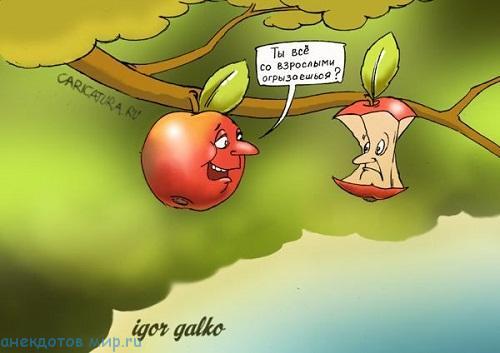 свежий анекдот про яблоки