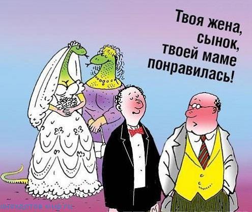 карикатура про свадьбу