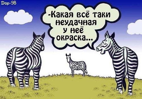 Подробнее о статье Свежие анекдоты и шутки 26 ноября 2018 года