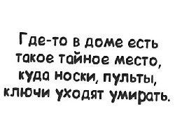 Подробнее о статье Самые смешные шуточные фразы