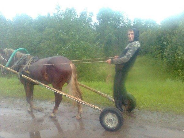 Подробнее о статье Веселая жизнь на селе в фотографиях