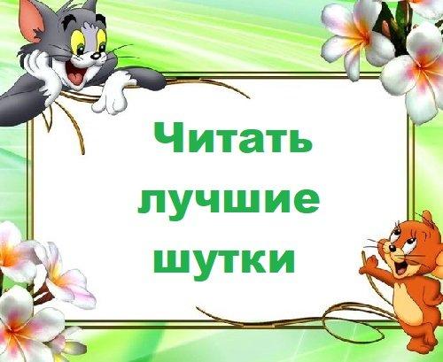 Подробнее о статье Читать лучшие шутки