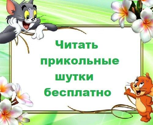 Подробнее о статье Читать прикольные шутки бесплатно