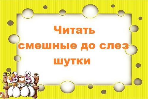 Подробнее о статье Читать смешные до слез шутки