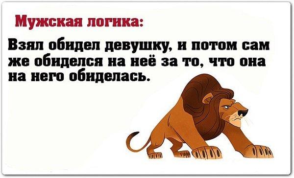 Обидевший или обидивший как. Мужская логика. Афоризмы про мужскую логику. Мужская логика цитаты. Мужская логика юмор.