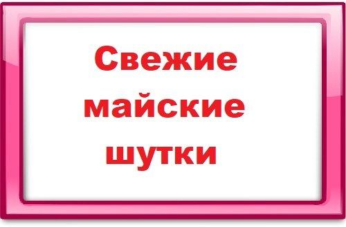 Подробнее о статье Свежие майские шутки