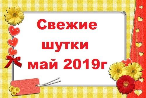 Подробнее о статье Свежие шутки за май 2019 года