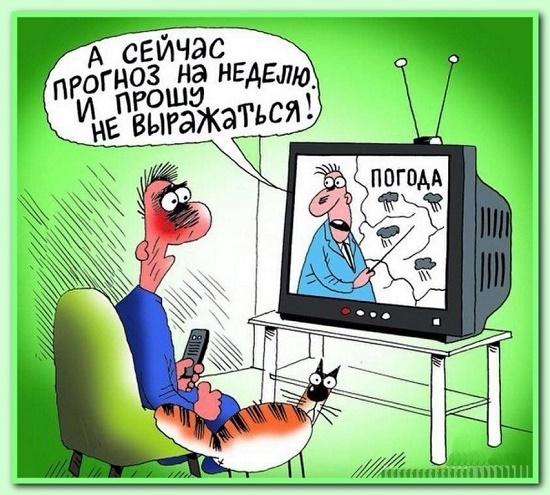 Подробнее о статье Анекдоты, над которыми можно поржать