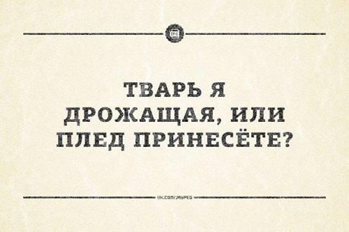 Подробнее о статье Шутки и юмор бесплатно