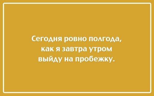 Подробнее о статье Читать прикольные высказывания