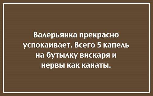 Подробнее о статье Читать угарные фразы