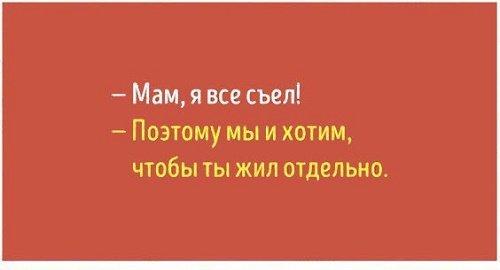 Подробнее о статье Цитаты прикольные смешные