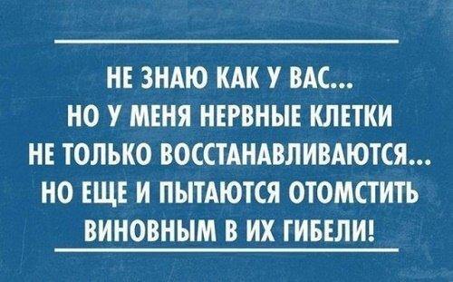 Подробнее о статье Цитаты про жизнь короткие прикольные