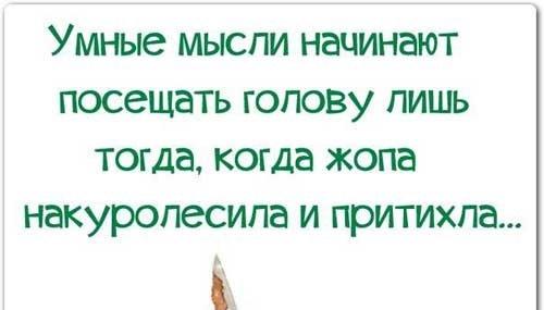 Подробнее о статье Короткие ржачные цитаты