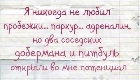 Подробнее о статье Лучшие шутки всех времен