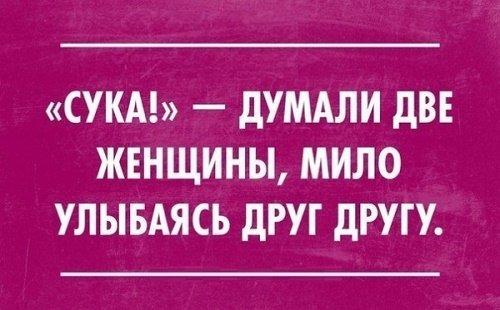 Подробнее о статье Лучшие смешные высказывания