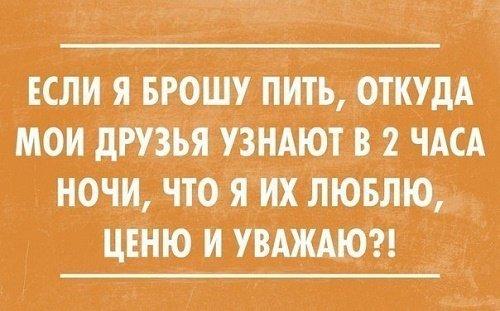 Подробнее о статье Остроумные фразы и короткие шутки