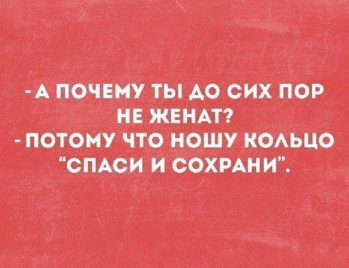 Подробнее о статье Остроумные прикольные фразы