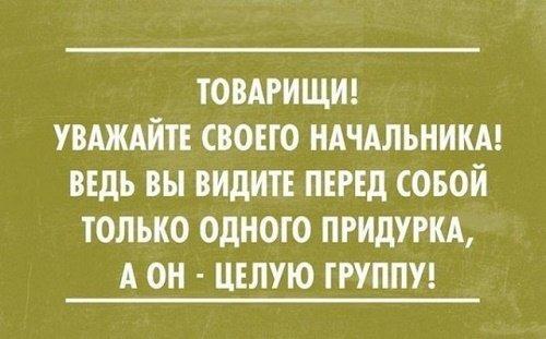 Подробнее о статье Прикольные бесплатные фразы