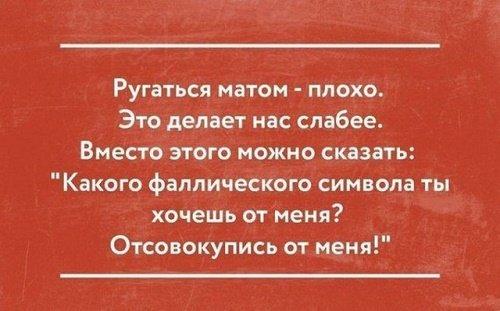 Подробнее о статье Прикольные цитаты для Инстаграм