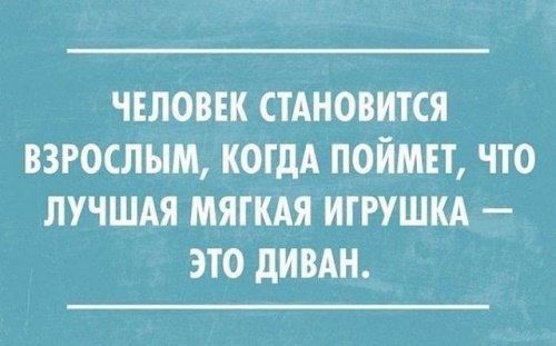 Подробнее о статье Прикольные цитаты и высказывания