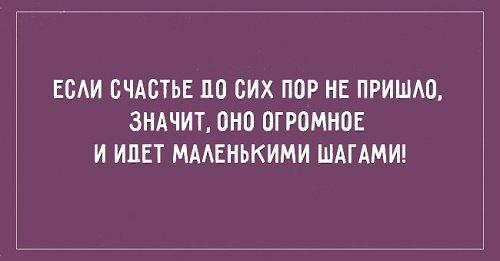 Подробнее о статье Прикольные фразы и афоризмы