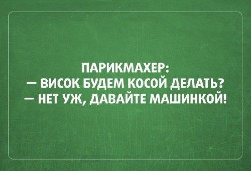 Подробнее о статье Прикольные фразы про жизнь