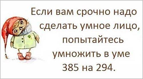 Подробнее о статье Прикольные фразы