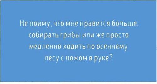 Подробнее о статье Прикольные короткие фразы про жизнь