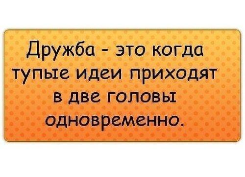 Подробнее о статье Прикольные короткие выражения