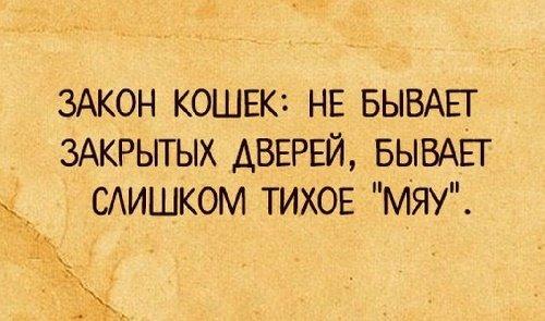 Подробнее о статье Прикольные смешные афоризмы