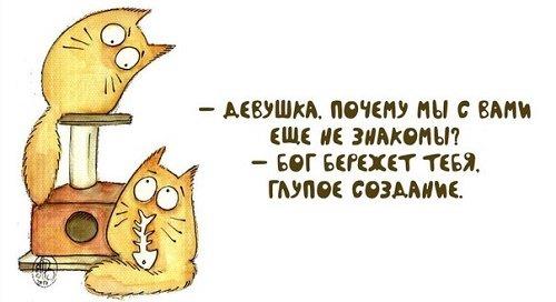 Подробнее о статье Прикольные выражения и короткие шутки