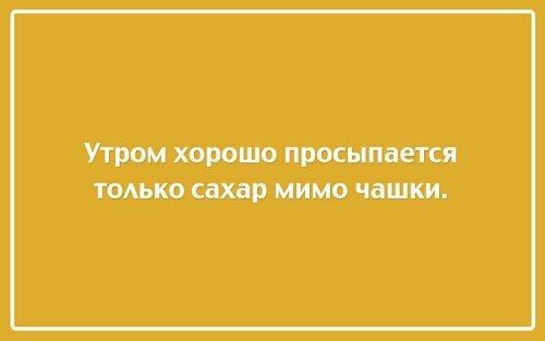 Подробнее о статье Прикольные высказывания и фразы