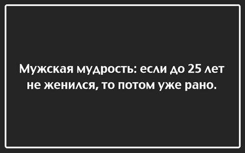 Подробнее о статье Прикольные высказывания и изречения