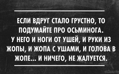 Подробнее о статье Прикольные высказывания о жизни