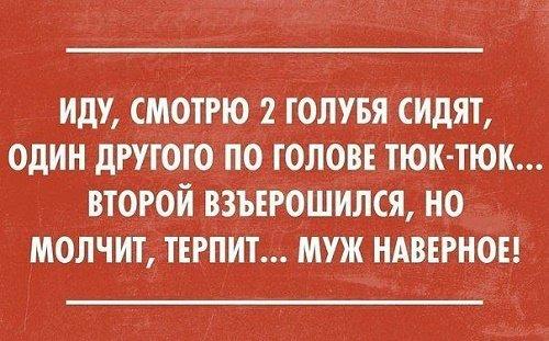 Подробнее о статье Прикольные высказывания и выражения