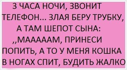 Подробнее о статье Просто хорошие шутки