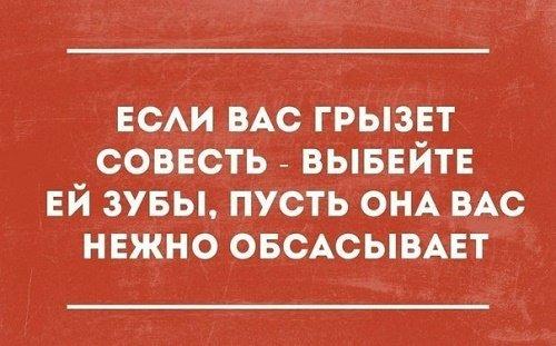 Подробнее о статье Ржачные бесплатные фразы