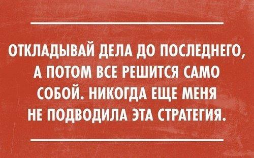 Подробнее о статье Ржачные фразы и высказывания