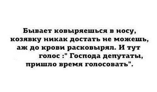 Подробнее о статье Самые прикольные цитаты